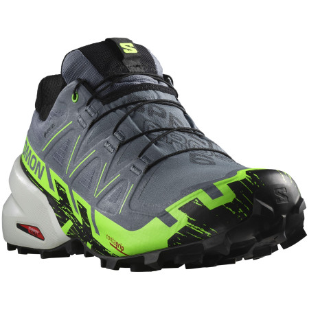 Herren Laufschuhe Salomon Speedcross 6 Gore-Tex grau Flint Stone / Green Gecko / Black