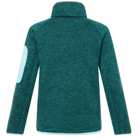 Kinder-Sweatshirt Regatta Junior Newhill DrkForGlacGr