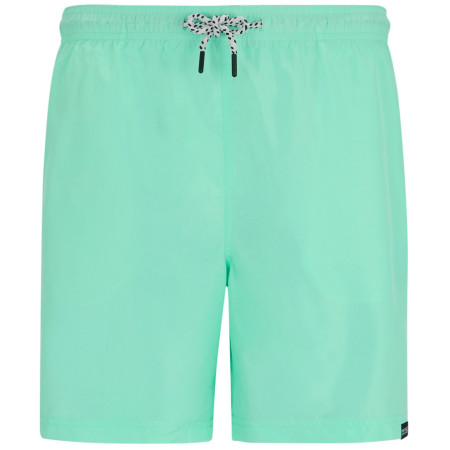 Herrenshorts Regatta Mackleyna Swim Short