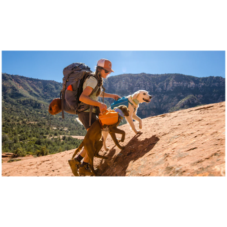Hunderucksack Ruffwear Approach™ Pack