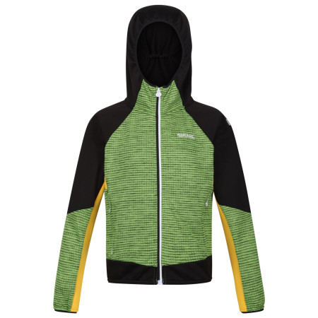 Kinder-Sweatshirt Regatta Prenton II grün Jasmine Green/Black