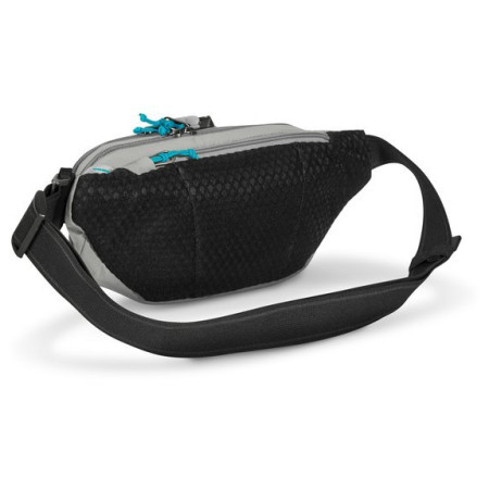 Hüfttasche Pacsafe ECO waist pack