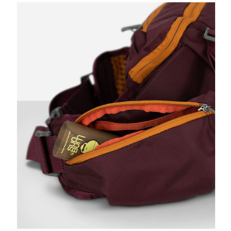 Hüfttasche Osprey Savu 5