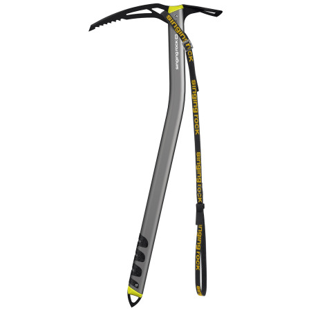 Pickel Singing Rock Wizard (2020)