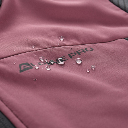 Damen Funktions-Sweatshirt Alpine Pro Zolla