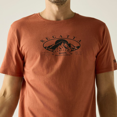 Herren-T-Shirt Regatta Cline IX