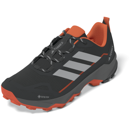 Wanderschuhe Adidas Terrex Skychaser Ax5 Gtx