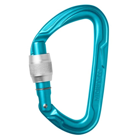 Karabiner Edelrid Pure Screw III hellblau 329 icemint
