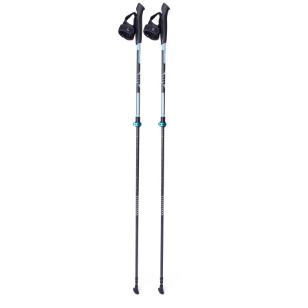 Nordic Walking Stöcke Warg Nordic Carbon Fastlock