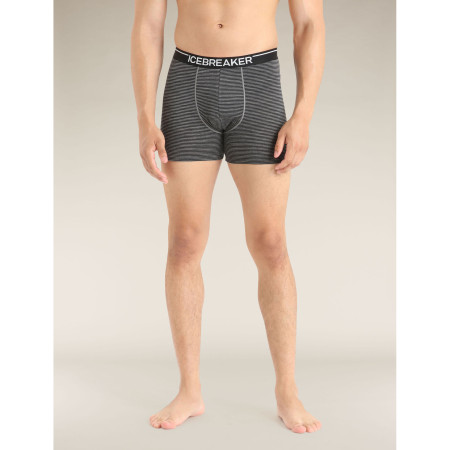 Herren-Boxershorts Icebreaker Mens Anatomica Boxers
