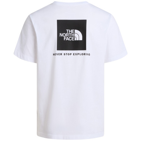 Herren-T-Shirt The North Face M Evolution Box Nse Regular Short Sleeve