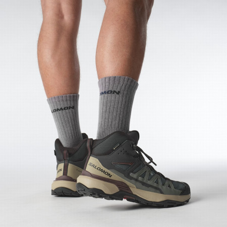 Herrenschuhe Salomon X Ultra 360 Mid Gore-Tex