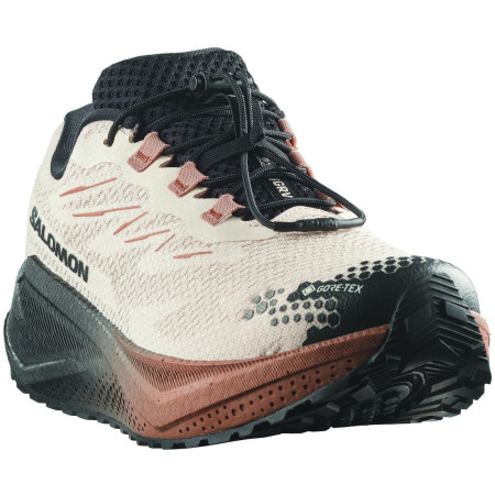 Herrenschuhe Salomon Aero Blaze 4 Grvl Gtx