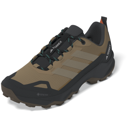 Wanderschuhe Adidas Terrex Skychaser Ax5 Gtx