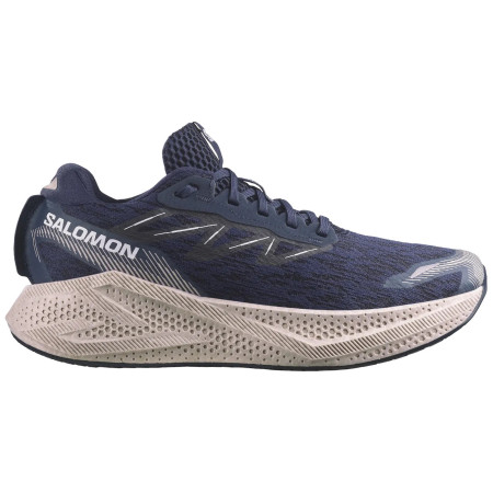Herren Laufschuhe Salomon Aero Glide 4