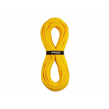 Statikseil Tendon Timber EVO 11.0 60m gelb/orange