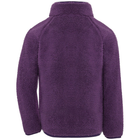 Kinder-Sweatshirt Didriksons Gibbs Kids Fullzip 2 Northen Purple