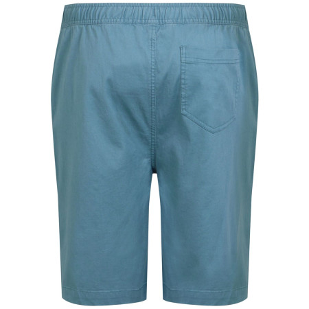 Herrenshorts Regatta Aldan Short