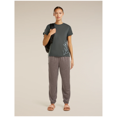 Damen-Funktionsshirt Icebreaker Merino Blend Core SS Tee Panax