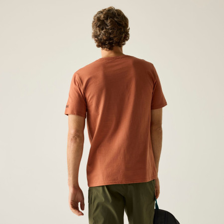 Herren-T-Shirt Regatta Cline IX