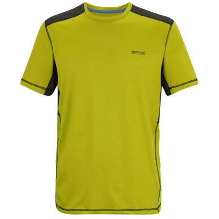 Herren-T-Shirt Regatta Virda grün DkTang/Blk