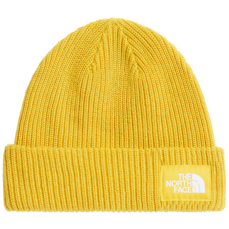 Mütze The North Face Salty Lined Beanie