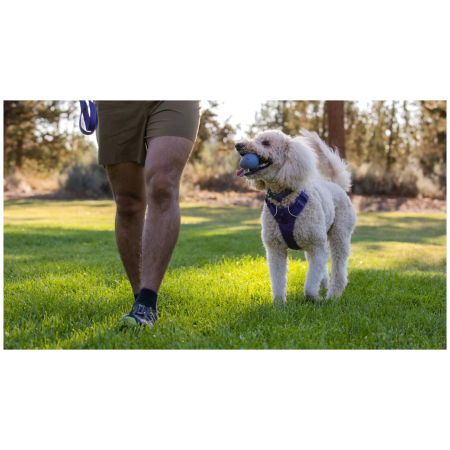 Hundespielzeug Ruffwear Turnup™ Toy