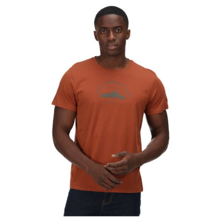 Herren-T-Shirt Regatta Cline VI orange Gingerbread