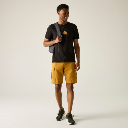 Herren-T-Shirt Regatta Cline IX