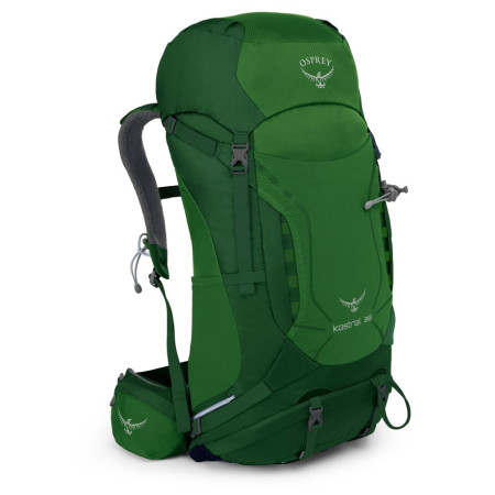 Rucksack Osprey Kestrel 38 2022 grün JungleGreen