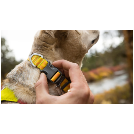 Hundehalsband Ruffwear Hi & Light™ Collar