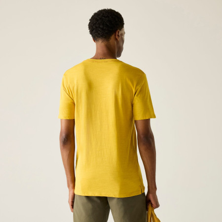Herren-T-Shirt Regatta Rendro