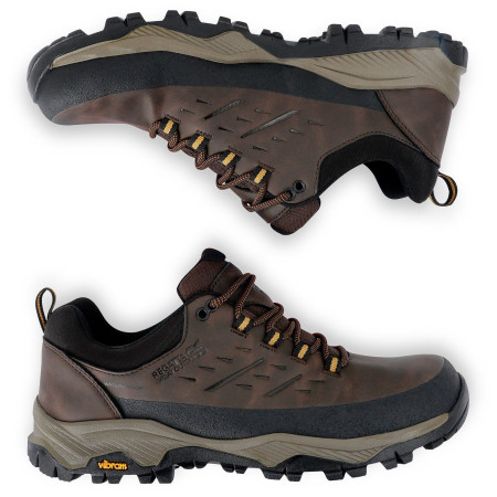 Herrenschuhe Regatta Blake Low