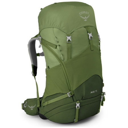 Kinderrucksack Osprey ACE 75 II grün VentureGreen
