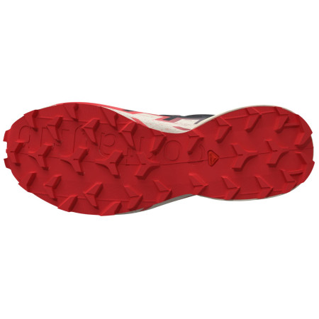 Herren Laufschuhe Salomon Speedcross 6