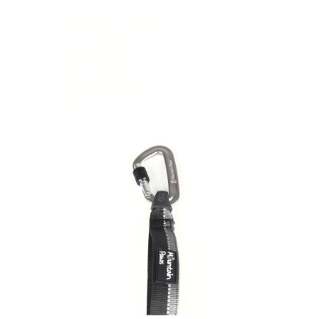 Leine mit Stoßdämpfer Mountain Paws Shock Absorber Dog Lead