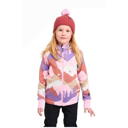Kinder-Funktions-Sweatshirt Reima Northern Grey Pink