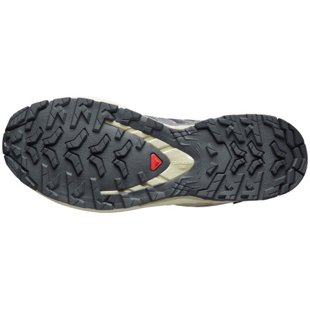 Damen Wanderschuhe Salomon Xa Pro 3D V9 Gore-Tex