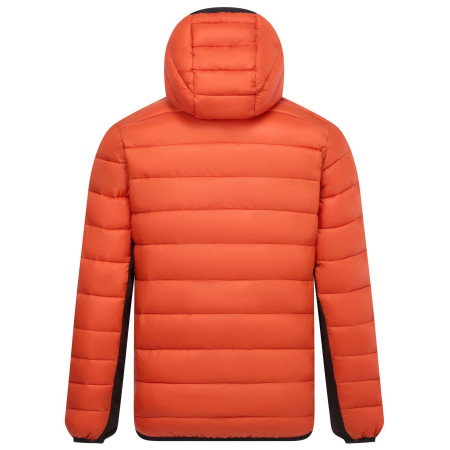 Herren-Hybridjacke Regatta Hooded Leedre Hybrid