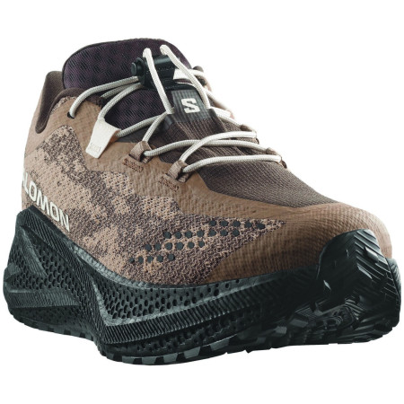 Herren Laufschuhe Salomon Aero Glide 4 Grvl