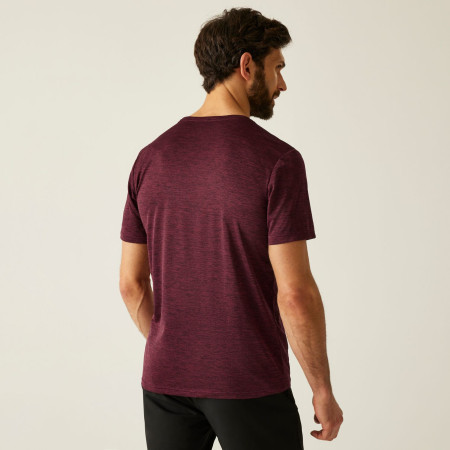 Herren-T-Shirt Regatta Fingal Edition