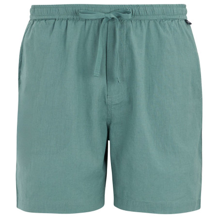 Herrenshorts Regatta Hadlin Shorts hellblau Arctic