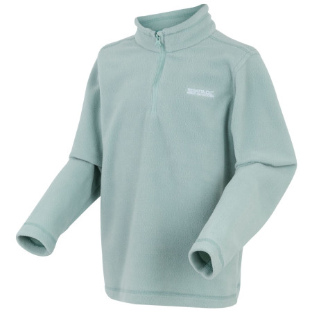 Kinder-Sweatshirt Regatta Hot Shot II