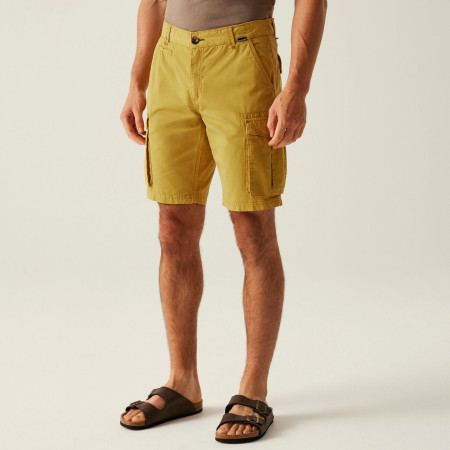 Herrenshorts Regatta Shorebay Shorts II