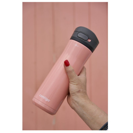 Thermoflasche Contigo Jackson Chill 590ml