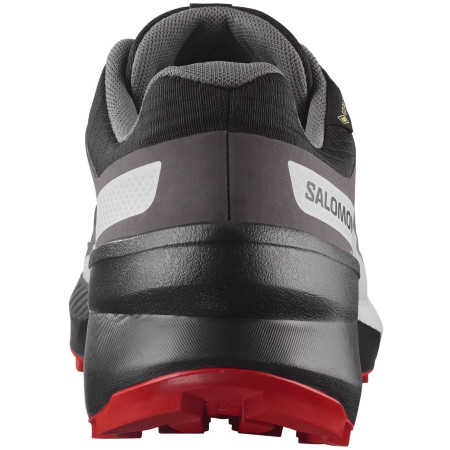 Herrenschuhe Salomon Speedcross Peak Gore-Tex