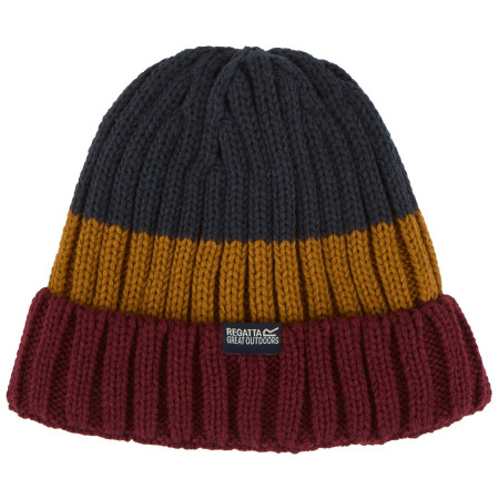 Wintermütze Regatta Davion Hat V