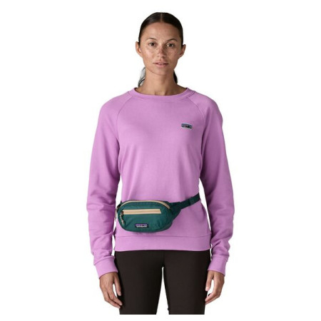 Hüfttasche Patagonia Terravia Mini Hip Pack