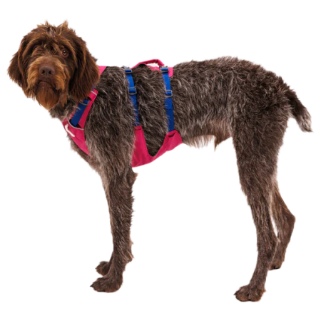 Hundegeschirr Ruffwear Flagline™ Harness