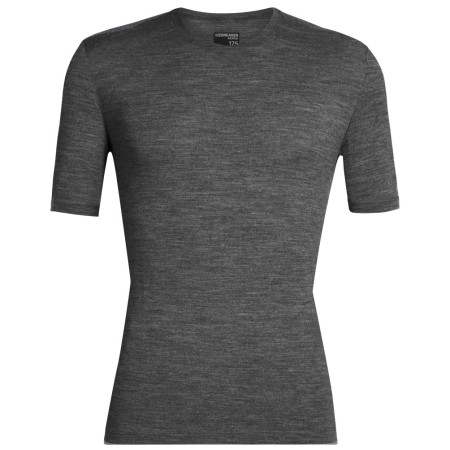 Herren-T-Shirt Icebreaker Mens 175 Everyday SS Crewe grau GritstoneHthr